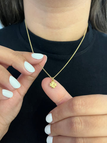 Colar Cadeado 1,2mm + Pingente Trevo da sorte - Banhado a ouro 18k