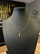 Colar Cadeado 1,2mm + Pingente Figa - 45cm - Banhado a ouro 18k